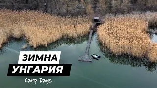 Carp Days - Зимни шарани в Унгария (езеро Szucsi)