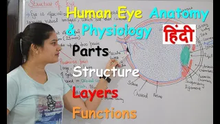 Human Eye Anatomy & Physiology in Hindi | Structure | Parts | Functions  | Rods & Cones