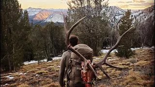 Backcountry Bull!  Backpack hunt | S5E09 | Limitless Outdoors