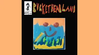 Flow Freely - Buckethead (Pike 617)