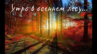 Утро в осеннем лесу. Елена Ваймер