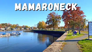 Walking Mamaroneck, NY in November 2022