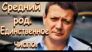 Жена изменила, бизнес рушится...Брагина спасет секретарша или училка? СРЕДНИЙ РОД,ЕДИНСТВЕННОЕ ЧИСЛО