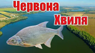 ВЕЛИКОБУРЛУКСКОЕ ВОДОХРАНИЛИЩЕ ОБЗОР с ВЫСОТЫ, Харьковская область, Украина. Рыбалка, ЧЕРВОНА ХВИЛЯ