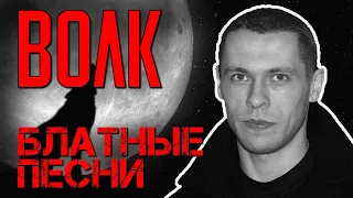 Волк - Блатные песни | Русский Шансон