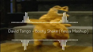 David Tango - Booty Shake (Yessa Mashup)