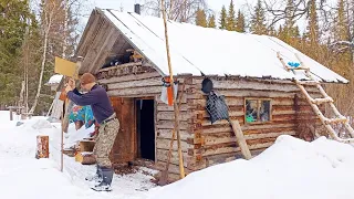 ЧЕТЫРЕ ИЗБЫ МЕДВЕДЬ УЖЕ ПОСЕТИЛ / МОЮ ИЗБУШКУ ПОКА НЕ ТРОНУЛ КОСОЛАПЫЙ / ПРОВЕРКА ФОТОЛОВУШЕК.