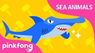 Boom, Bang, Hammerhead Shark | Sea Animals Song | Pinkfong Songs for Children