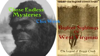 Bigfoot Sightings Of West Virginia