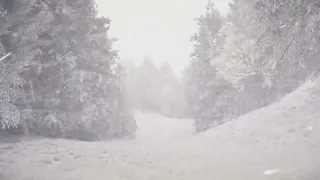 4 Hours of Howling Winds and Blizzard Sounds for Sleep, Study and Relaxation