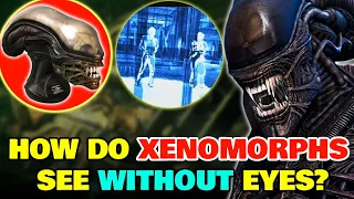 How Does Xenomorph Vision Work Without Any Eye Sockets? - Explained