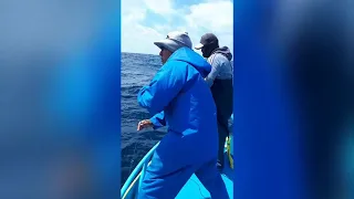 Pesca de Marlin 100kg