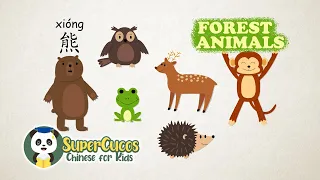 学中文-森林动物 1| Learn Chinese for kids - Forest Animals Part 1 | Aprender Chino - Animales del Bosque