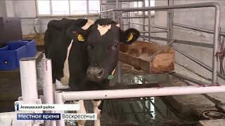 Оборудование для комфортного содержания и доения коров