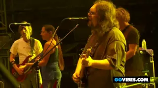Dark Star Orchestra Performs "China Cat" into "I Know You Rider" at Gathering of the Vibes 2011