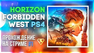 🐍 Прохождение HORIZON Forbidden West 🦊 Основной стрим: s3r4.tv