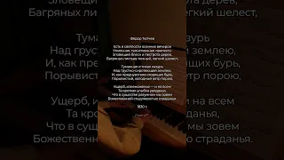 Есть в светлости осенних вечеров | PoetryTT  #стихи #поэзия  #стих