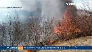 В заказнику на Черкащині вигоріло 8 гектарів сухого очерету