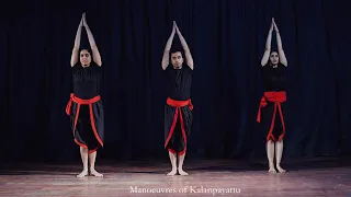 Manoeuvres of Kalaripayattu