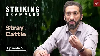 Stray Cattle | Ep. 16 | Striking Examples From The Quran | Ramadan 2024 Live