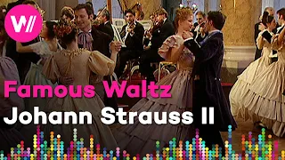 Johann Strauss II - An der schönen, blauen Donau (Wiener Akademie) | From "A Night in Vienna"