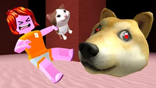 Roblox doge head escape…??