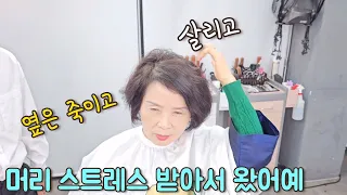 머리 스트레스 받아서 왔어예.