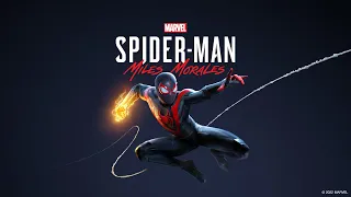 Marvel's Spider-Man: Miles Morales | Ryzen 5 5500U | 16GB RAM | Radeon Vega 7