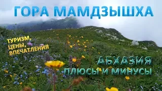 Абхазия плюсы и минусы - Гора Мамдзышха