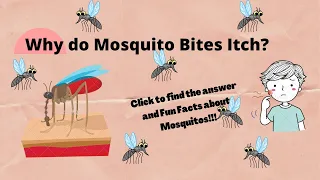 Why do Mosquito Bites Itch ? | Learn about Mosquitos | Fun Facts about mosquitos | The Learning Leaf