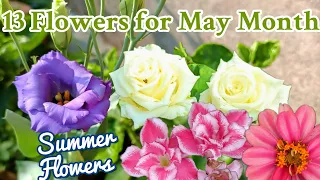 13 Flowers for May Month मई की गर्मियों में जरूर लगाए इन सभी 13 पौधों को