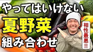 【相性最悪⁉︎】一緒に植えてはいけない夏野菜の組み合わせ