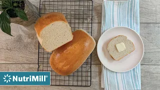 Making bread with the BestBread dough mix.