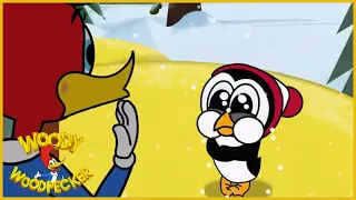 Woody Woodpecker | Baby It's Cold Inside | Full Episodes