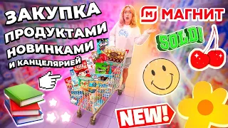 Большая Закупка Продуктов и Канцелярии в Магнит!☘️ Скупаю все НОВИНКИ! Школьный Шоппинг..📚