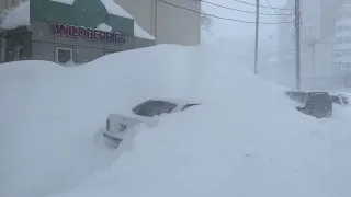 Сахалин. Метель. Снежный циклон. День 3-й. 25.01.24