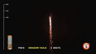 P4016 DRAGON TAILS WINDA FIREWORKS