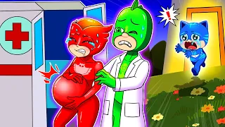 Pj Masks But Owlette is Pregnant With Cute Baby - Catboy's Life Story - PJ MASKS 2D Animation