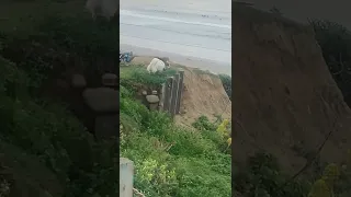 2 dogs  attempt suicide on edge of cliff