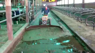 Trágya kinyomó Goldoni special ( Manure Scraper )