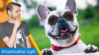 Could we create a perfect dog breed for skating? #AskRadRat 198