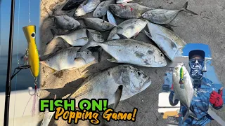 Shimano Stradic FM 2023! | Popping PAWAHHHH!! | Kota Kinabalu, Sabah | Ozy Fishing Trip