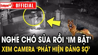 Chú chó sủa vài tiếng rồi IM BẶT, chủ nhà xem qua camera mới phát hiện cảnh tượng ĐÁNG SỢ | SaigonTV