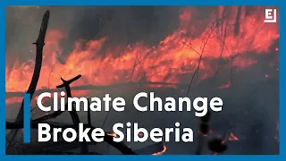 Climate Change Made the Heat Wave Roasting Siberia 600 Times More Likely