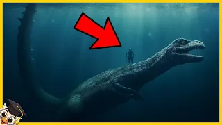 20 Misteriosas Criaturas Marinas Capturadas Por La Camara