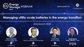 Managing utility-scale batteries in the energy transition