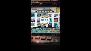 VGT Neptune $50 Max bet (New Border Casino)