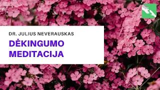 Dėkingumo meditacija. Dr. Julius Neverauskas