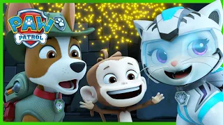 Cat Pack and Tracker save a Baby Monkey! | PAW Patrol | Cartoons for Kids Compilation