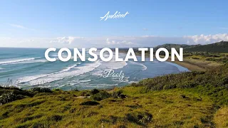 Poolz - Consolation (Music Video)